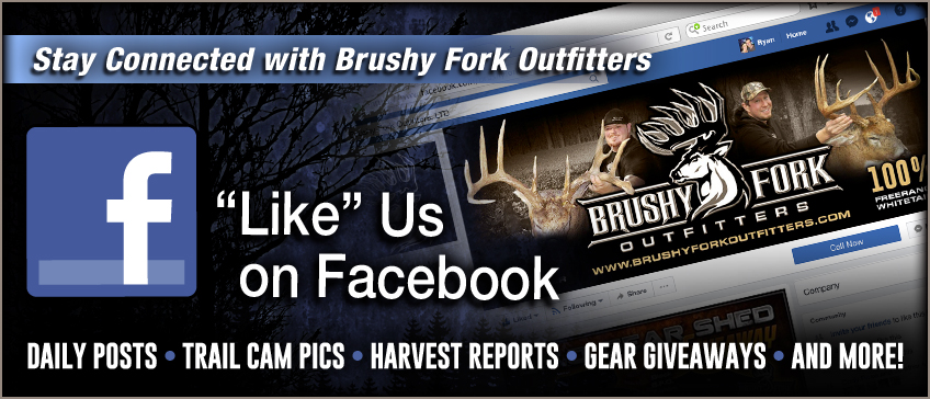 Ohio hunting video