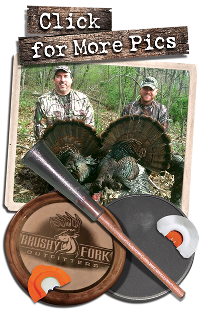 ohio turkey hunting guides, outfitters and trophy turkeys
