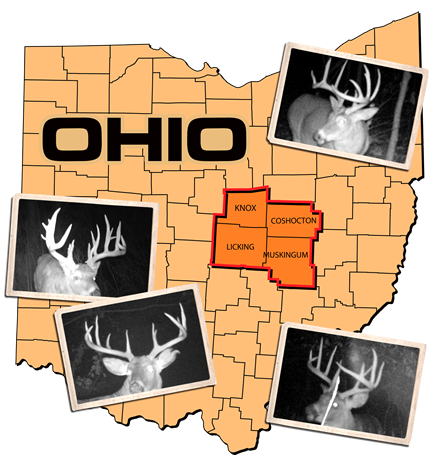Ohio Deer Hunting