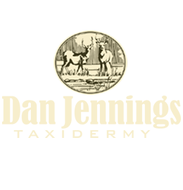 Dan Jennings Taxidermy