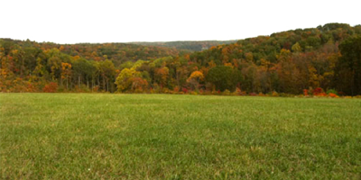Ohio Deer Hunting