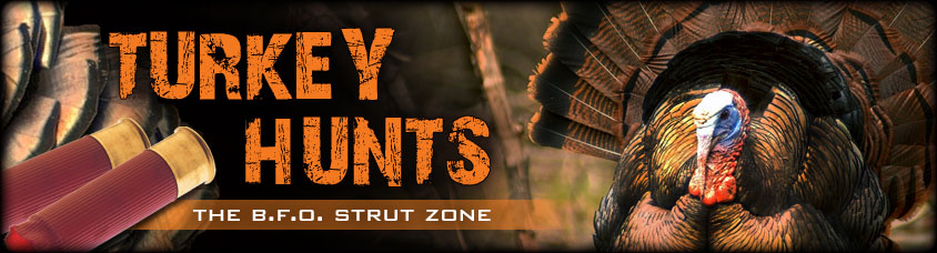 Ohio turkey hunting outfitters and Ohio turkey hunting guides