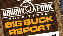 Ohio Big Buck Deer Hunting Report